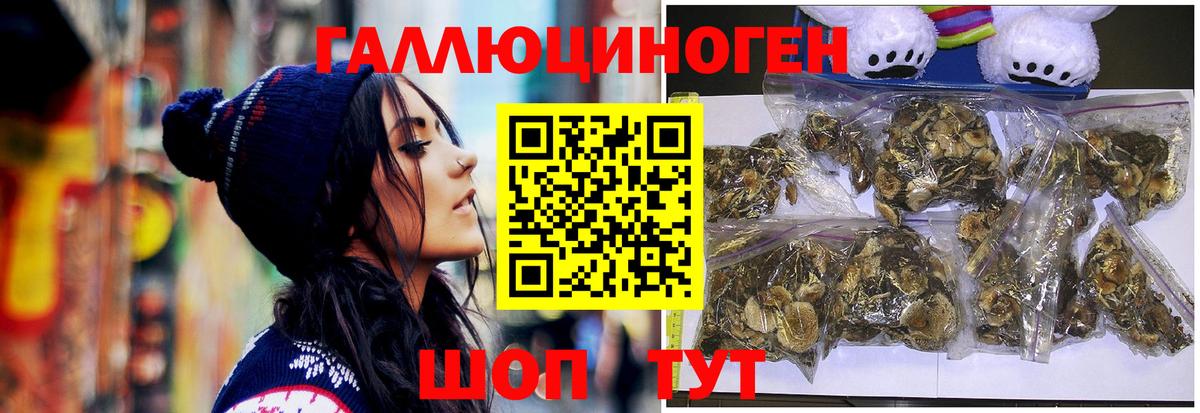 Псилоцибиновые грибы мухоморы Щёлково